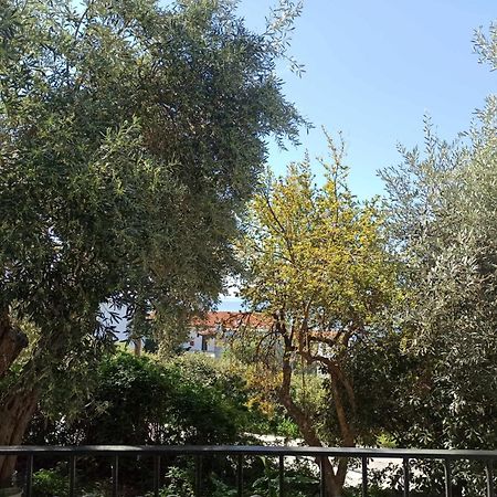 Greekowl Apartments Skiathos-Stadt Exterior foto