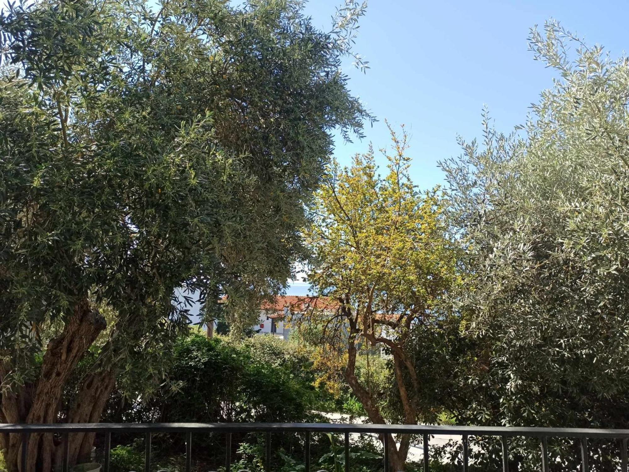 Greekowl Apartments Skiathos-Stadt Exterior foto