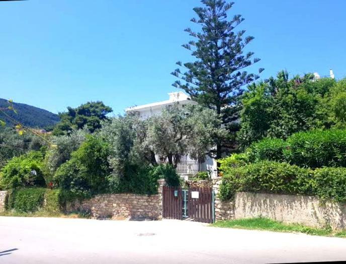 Greekowl Apartments Skiathos-Stadt Zimmer foto